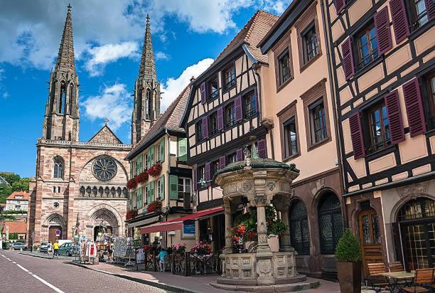 La Grange 1578 - Maison 4 Etoiles - Centre Ville - Commerce A Proximite Obernai Dış mekan fotoğraf